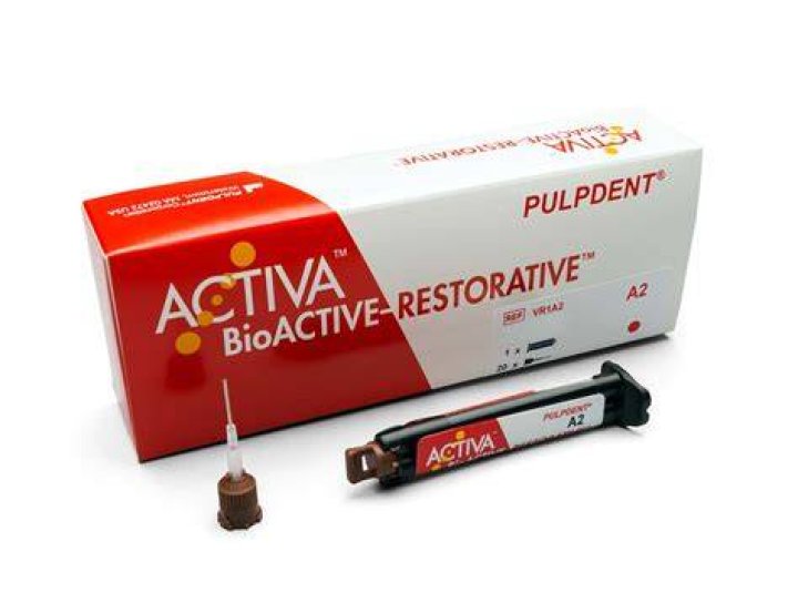 Applicator for ACTIVA RESTORATIVE PULPDENT