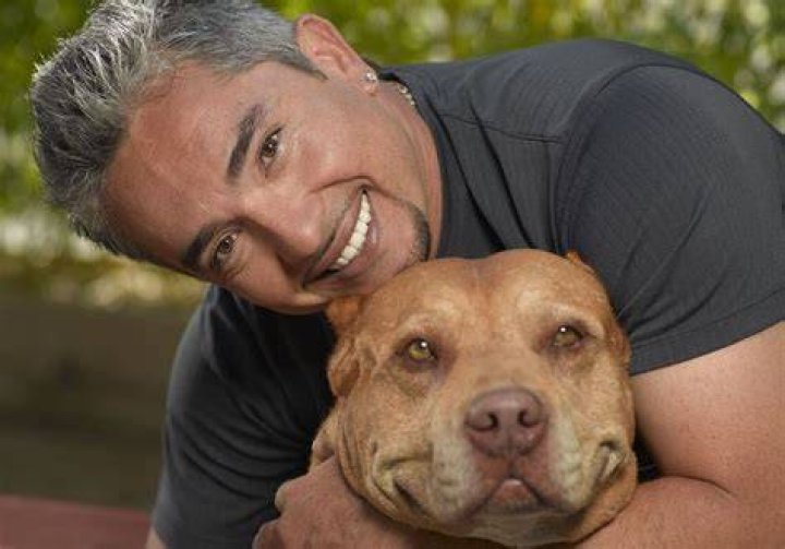 Cesar Millan, o "encantador de c&atilde;es", lan&ccedil;a linha de audiobooks s&oacute; para