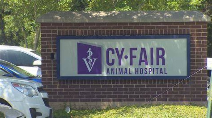 "Cy-Fair Animal Hospital Lawsuit Outcome" And Its Far-Reaching Implications