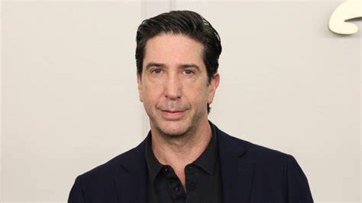 David Schwimmer Ethnicity David Schwimmer bio age, wife, kids