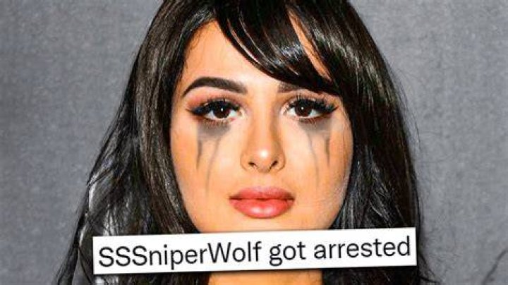 Did SSSniperWolf Go Under the Knife? Body Measurements and More