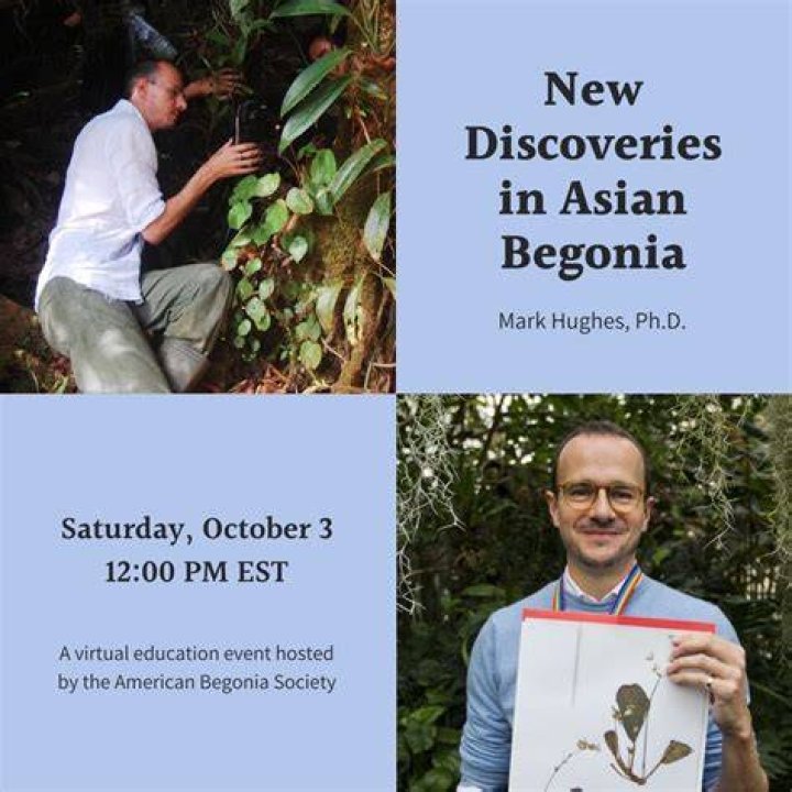 Discoveries And Insights Only Here