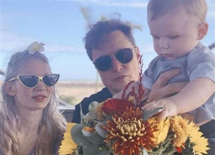 Elon Musk Secretly Twins Last November