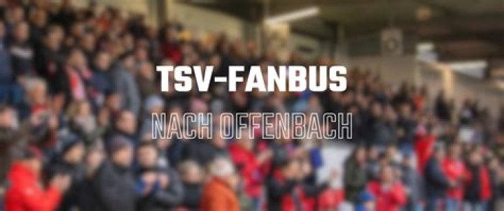 Fanbus nach Gießen TSV Steinbach Haiger