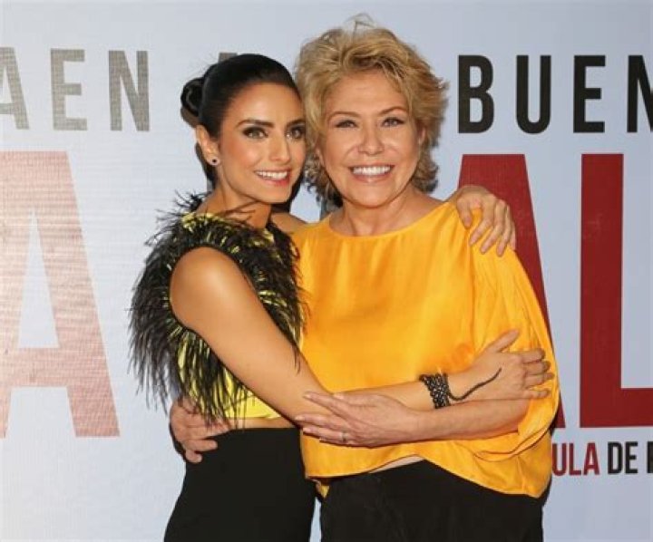 Gabriela Michel Mam&aacute; de Aislinn y primera esposa de Eugenio Derbez Fama