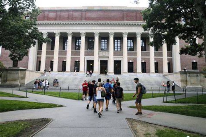 How college applicants embellish admission essays