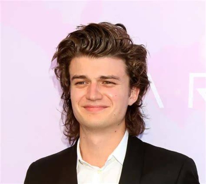 Joe Keery Net Worth, Bio, Height, Family, Age, Weight, Wiki 2023