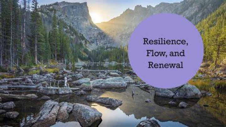 Lessons In Resilience And Dreams