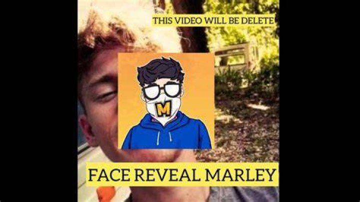 Meatymarley Face Reveal 2023 Wikipedia And Age