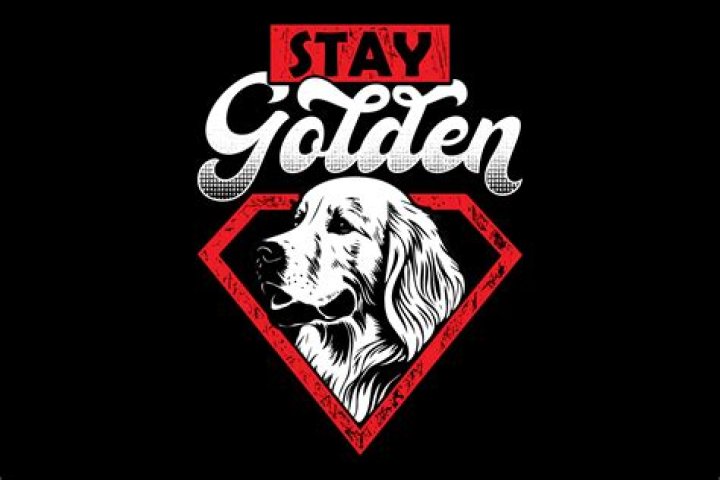 Stay Golden, Golden Boy Theo james, Theodore james, Actors