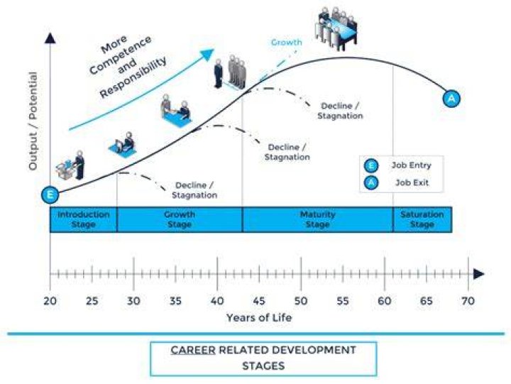 The Life and Career of Elise Hauenstein From Family to Business
