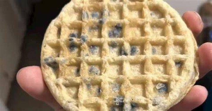 This &lsquo;blueberry&rsquo; waffle has gone viral for a berry awful reason Flipboard