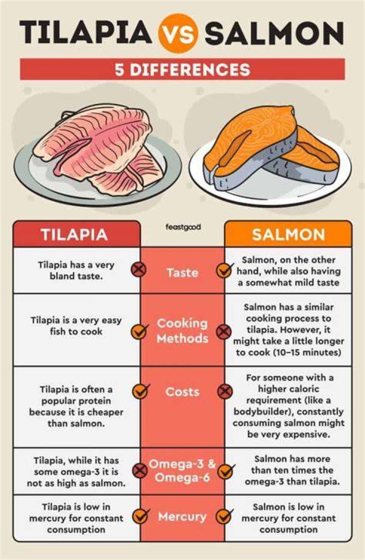 Tilapia vs. Salmon 7 Differences Explained Fished That