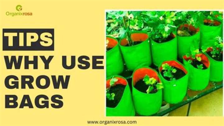 Top 10 Tips To Grow Your Day Tour Nourchaine