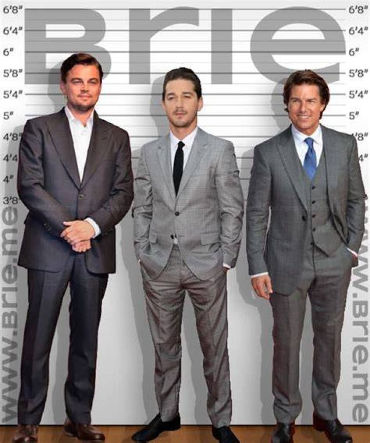 Unlock The Hidden Secrets Of Shia LaBeouf's Height