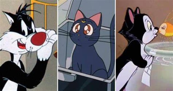 Unraveling The Enigmatic World Of Black Cat Cartoon Characters: Discoveries And Insights