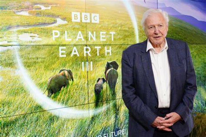 Unveil The Wealth And Impact Of David Attenborough