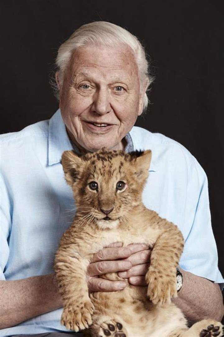 Unveiling The Worth Of David Attenborough: Discoveries Beyond The Numbers